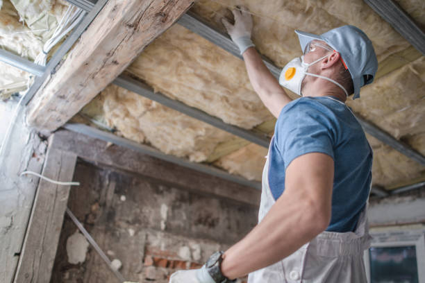 Best Residential Insulation in Kodi Station, AK